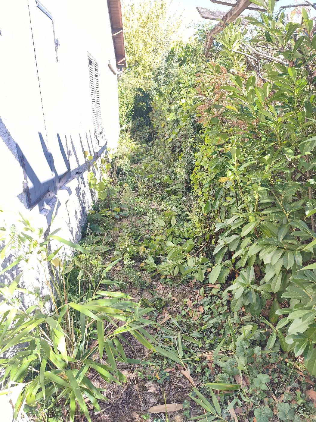 Avant intervention de VM Jardin